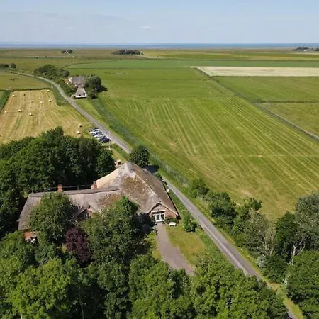 Anchorage * Westerhever
